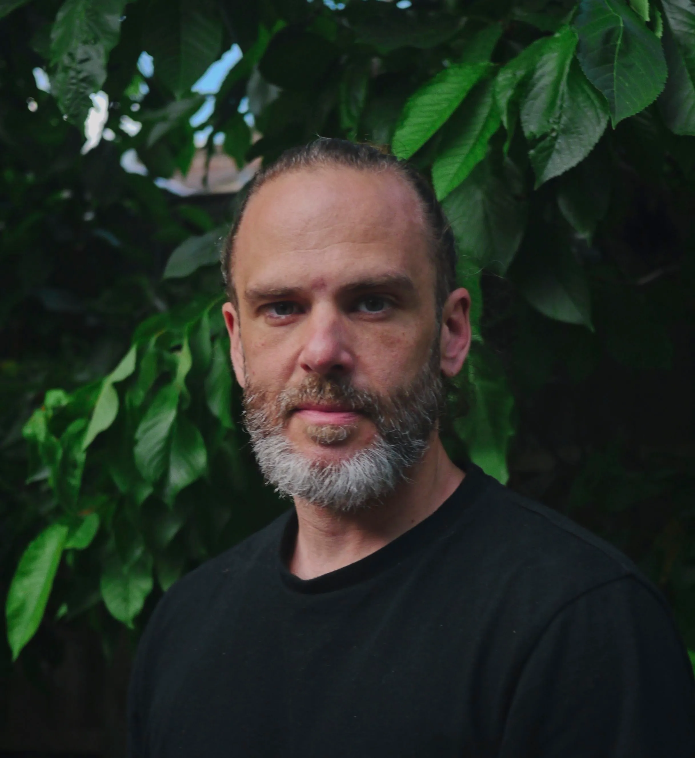 David Darch under the leaves of a cherry tree